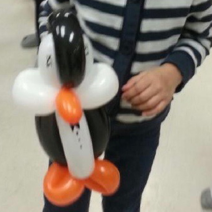 Balloon Animals